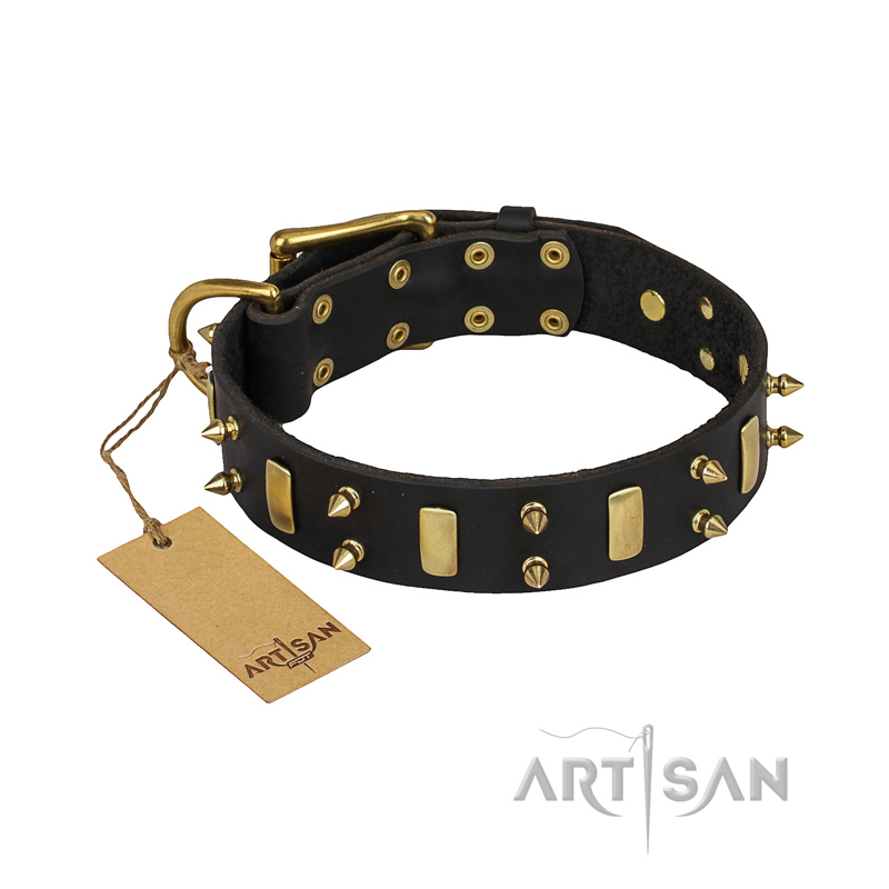 "Medieval Style" FDT Artisan Leather Boxer Collar with Brass Plates and Spikes