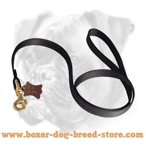 Multifunctional Nylon Boxer Leash