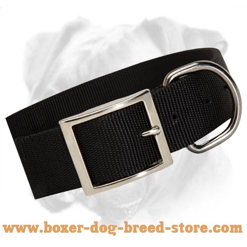 Perfect All-Weather Nylon Dog Collar for Boxer
