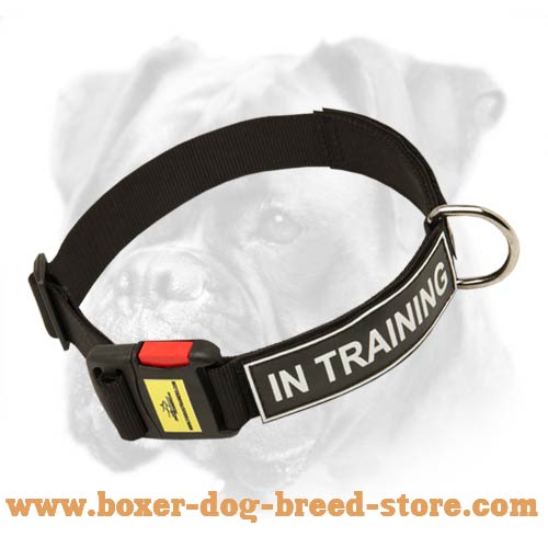 Professional Nylon Boxer Collar with ID Patches and Easy Quick Release Buckle
