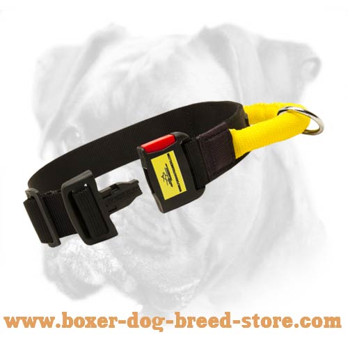 Nylon Collar with Easy Quick Release Buckle and Additional Handle