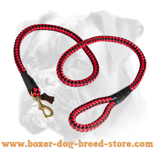 Cord Nylon Boxer Leash for Active Dogs
