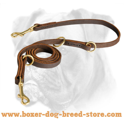 Multifunctional Leather Boxer Leash for Walking and Training