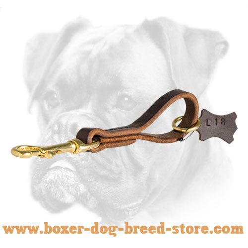 Fast Car Grab Boxer Leather Leash