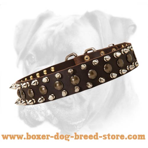Daily Leather Collar Decorated with Nickel Plated Spikes and Brass Studs for Your Boxer