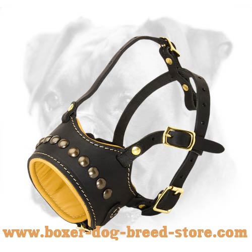 Studded Leather Muzzle with Soft Nappa Padding for Boxer Breed