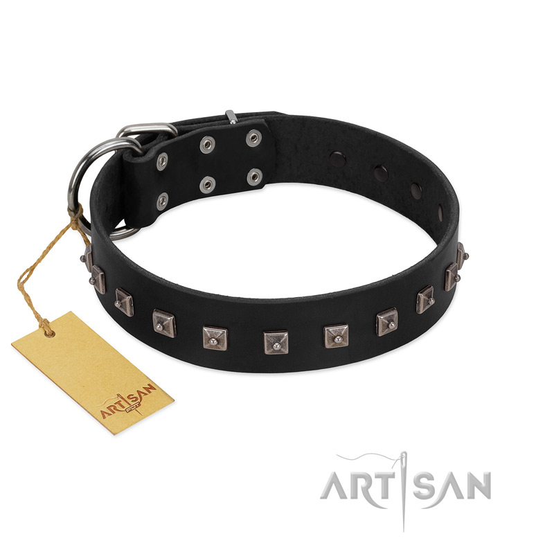 "Natural Beauty" Premium Quality FDT Artisan Black Designer Boxer Collar with Dotted Studs