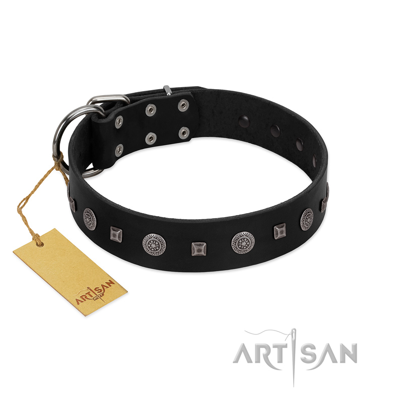 "Mr. Elegance" Designer FDT Artisan Black Leather Boxer Collar with Silver-Like Studs