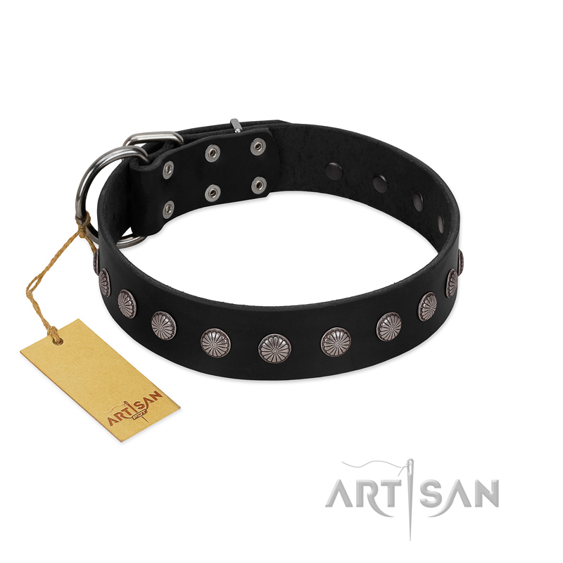 "Silver Flower" Exclusive FDT Artisan Black Leather Boxer Collar with Silver-Like Studs
