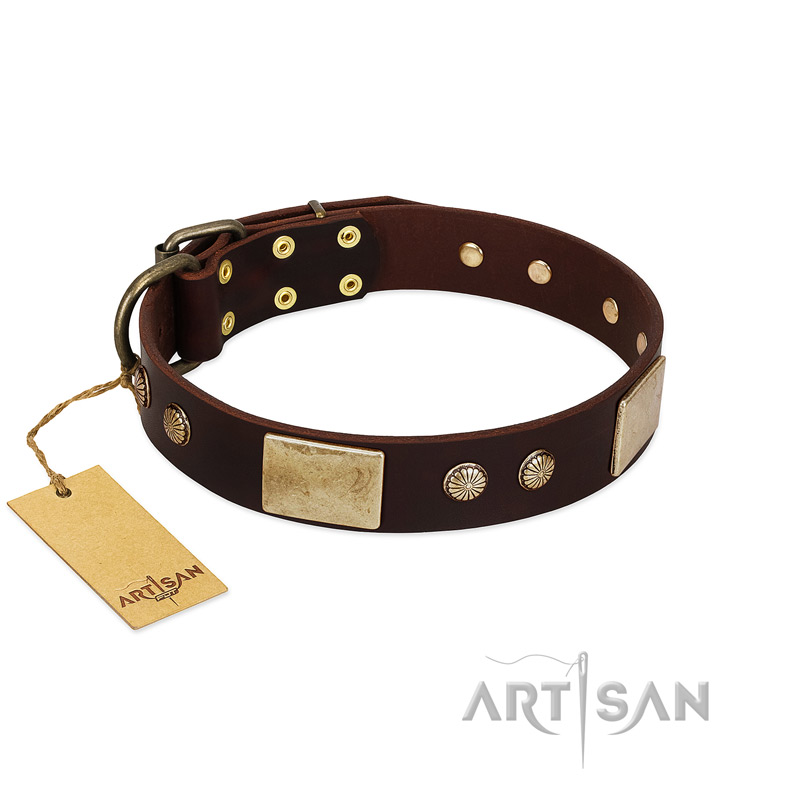 "Middle Age" FDT Artisan Brown Leather Boxer Collar with Old Bronze-Plated Engraved Flowers and Large Plates