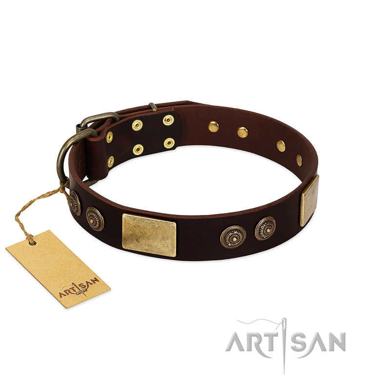 "Bow-Wow Effect" FDT Artisan Brown Leather Boxer Collar with Plates and Ornate Studs - Click Image to Close