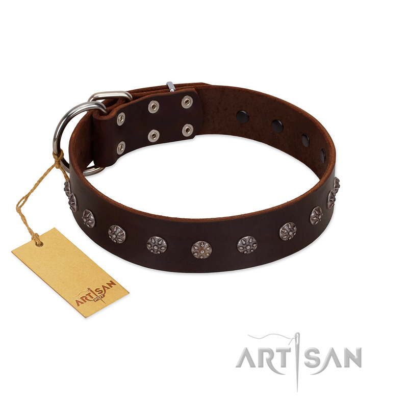 "Graceful Classic" Mod FDT Artisan Brown Leather Boxer Collar