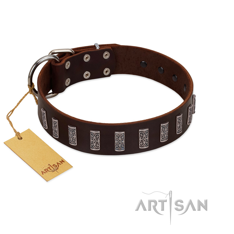 "Brown Lace" Handmade FDT Artisan Brown Leather Boxer Collar for Everyday Walks
