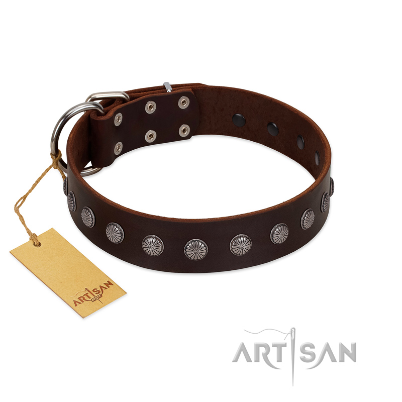 "Spring Flower" Stylish FDT Artisan Brown Leather Boxer Collar for Comfy Walks