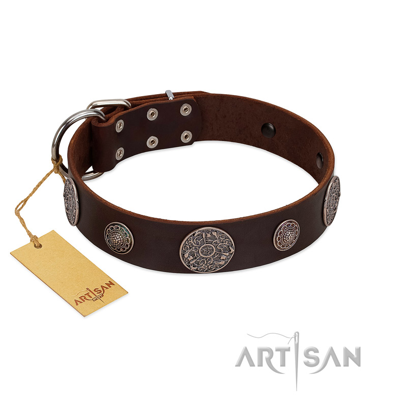 "Flashy Woof" FDT Artisan Brown Leather Boxer Collar with Chrome Plated Brooches - Click Image to Close