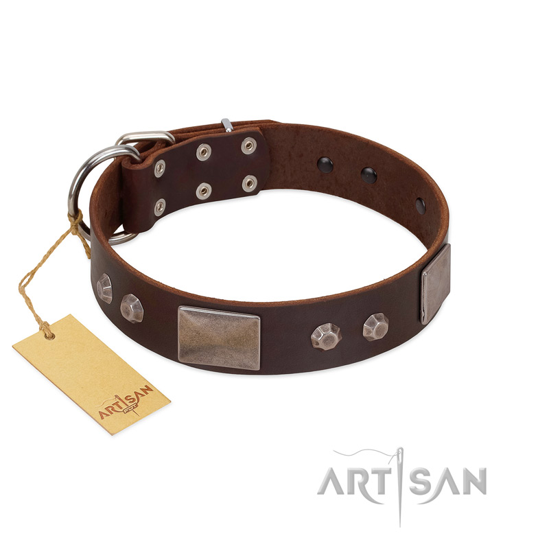 "Stone Stars" Stylish Handmade FDT Artisan Brown Leather Boxer Collar