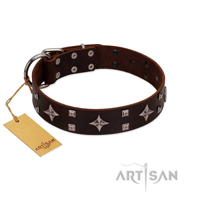 "Trendy Candy" FDT Artisan Brown Leather Boxer Collar Adorned with Stars and Tiny Squares