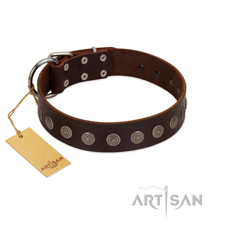 "Starry-Eyed" Best Quality FDT Artisan Brown Designer Leather Boxer Collar with Small Plates
