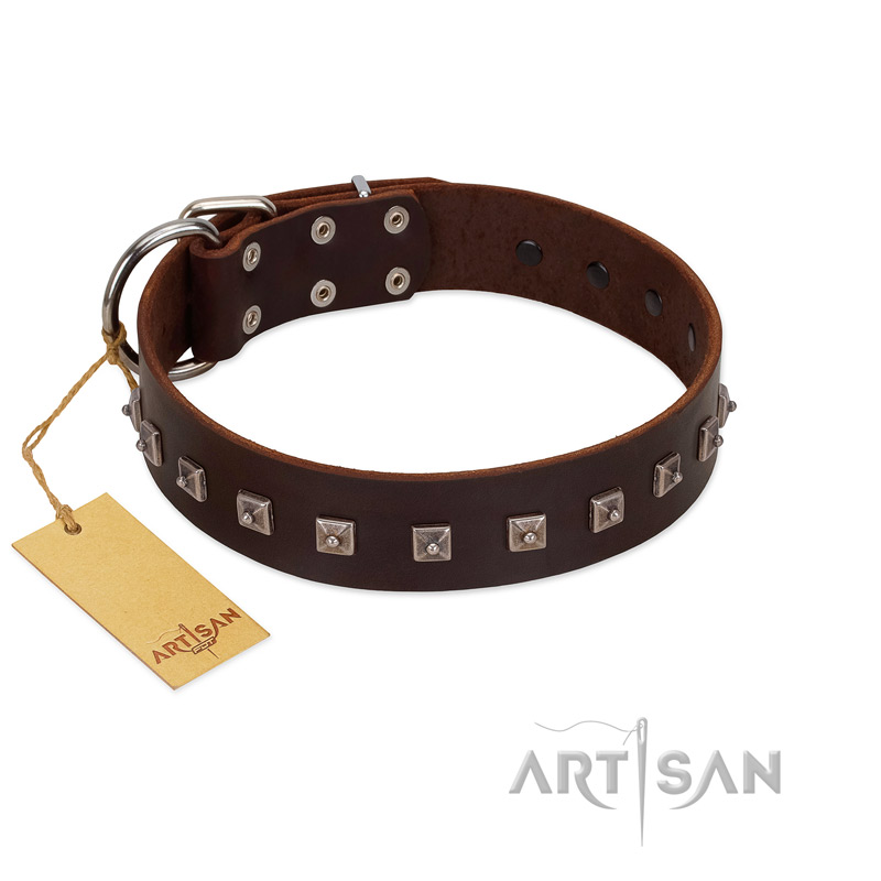 "Kingly Grace" FDT Artisan Brown Leather Boxer Collar with Silver-like Dotted Studs