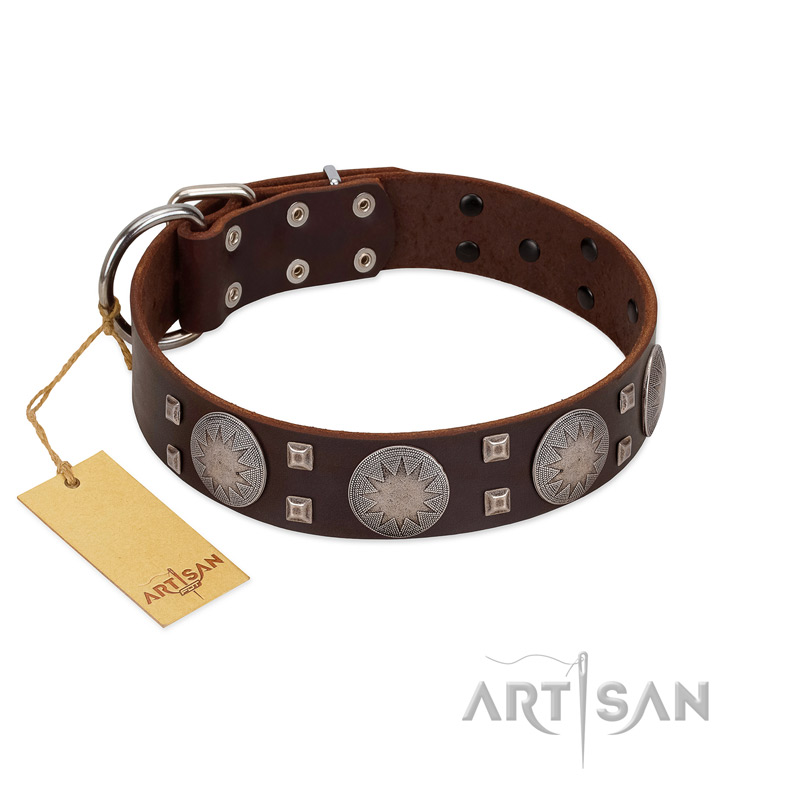 "Sun in Barchans" Modern FDT Artisan Brown Leather Boxer Collar with Engraved Stars on Round Plates and Studs