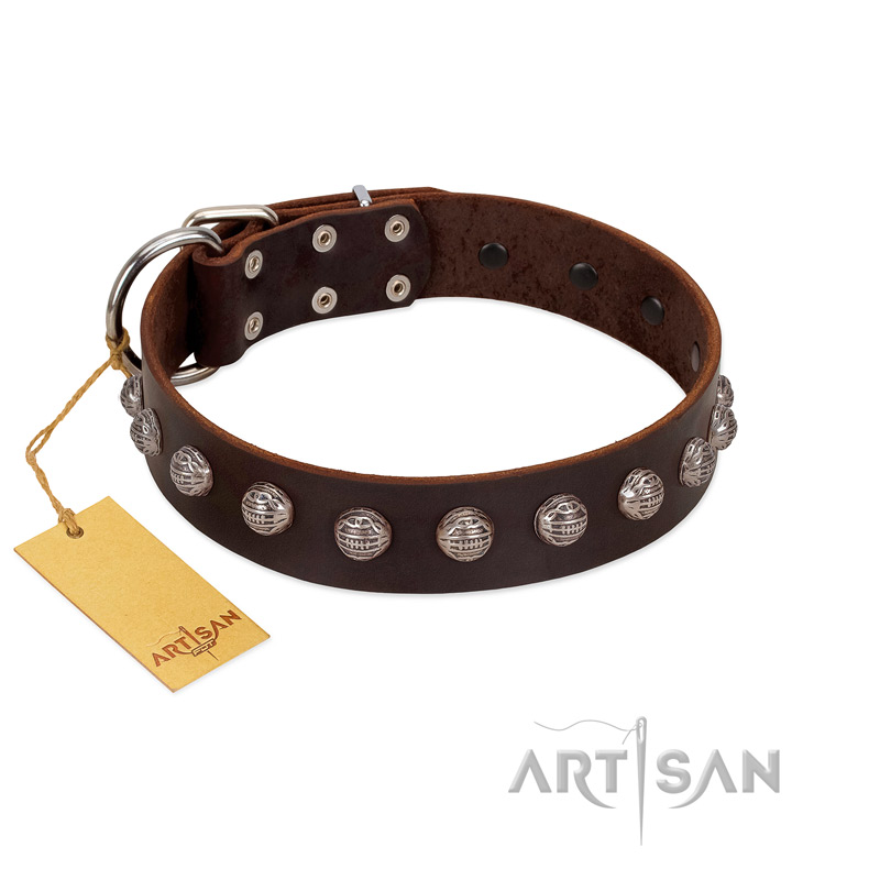 "Lucky Silver" Designer Handmade FDT Artisan Brown Leather Boxer Collar