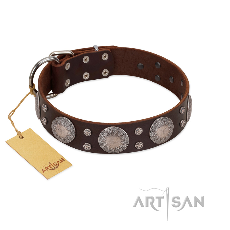 "Imperial Legate" FDT Artisan Brown Leather Boxer Collar with Big Round Plates
