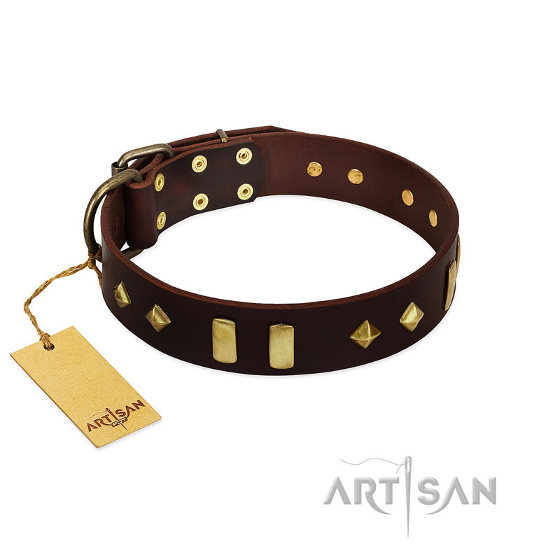 "Blinking Illusion" FDT Artisan Brown Leather Boxer Collar with Old Bronze-like Studs and Plates
