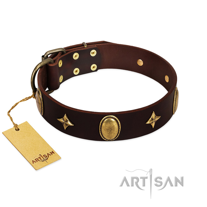"Victory and Laurels" FDT Artisan Brown Leather Boxer Collar with Ovals and Stars