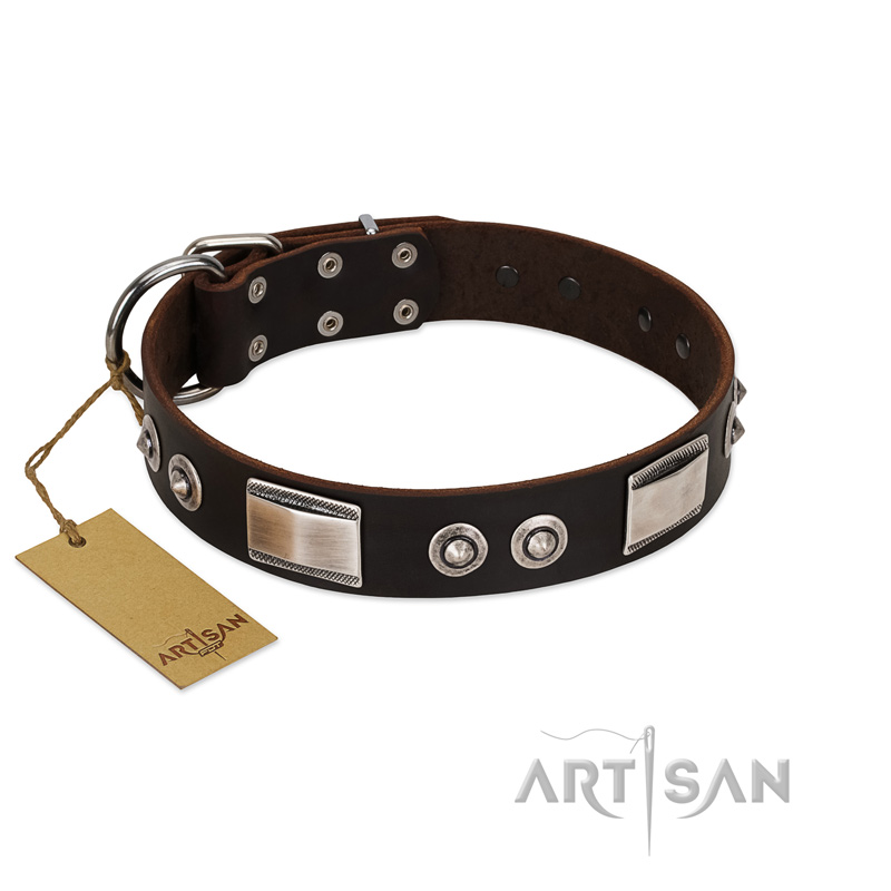 "Baller Status" FDT Artisan Brown Leather Boxer Collar Adorned with a Set of Chrome Plated Studs and Plates