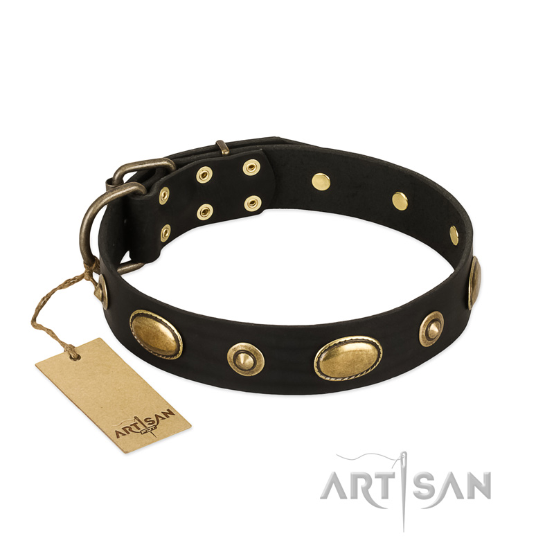 "Eye-Catcher" FDT Artisan Black Leather Boxer Collar for Walking in Style