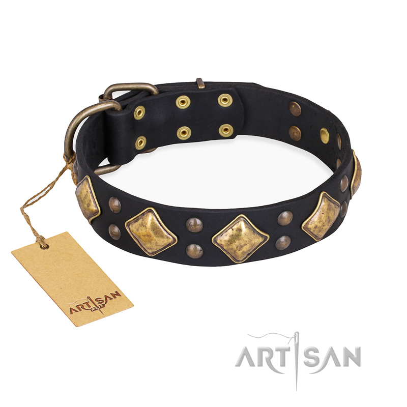 "Fancy-Schmancy" FDT Artisan Studded Leather Boxer Collar