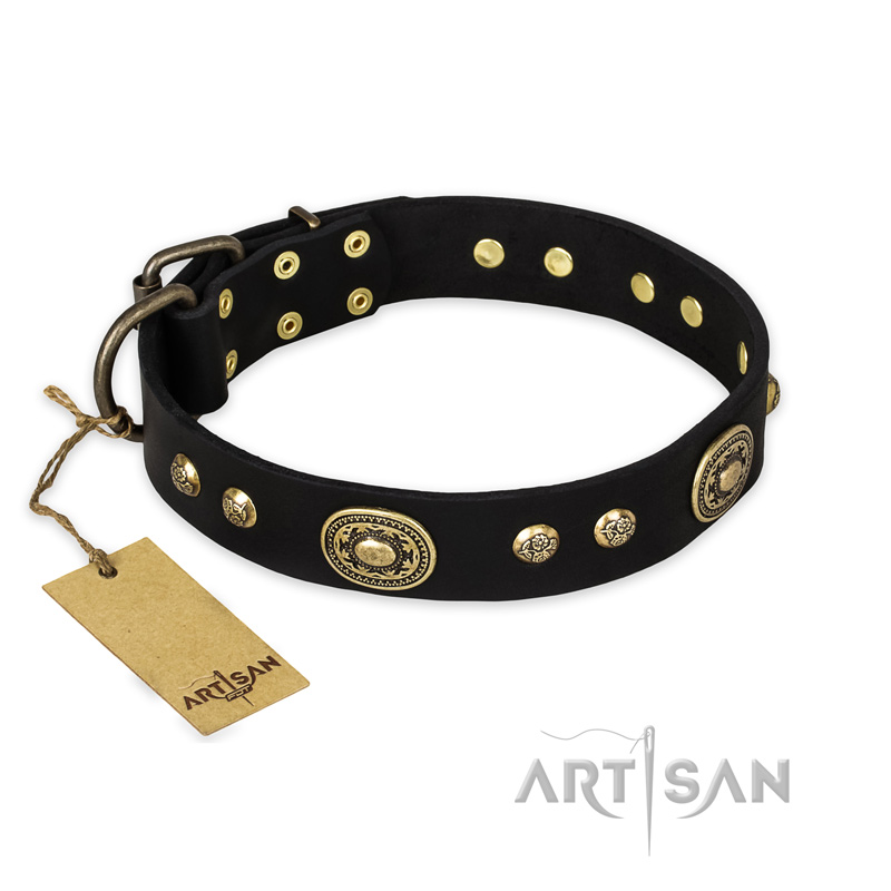 "High Fashion" FDT Artisan Studded with Plates Black Leather Boxer Collar