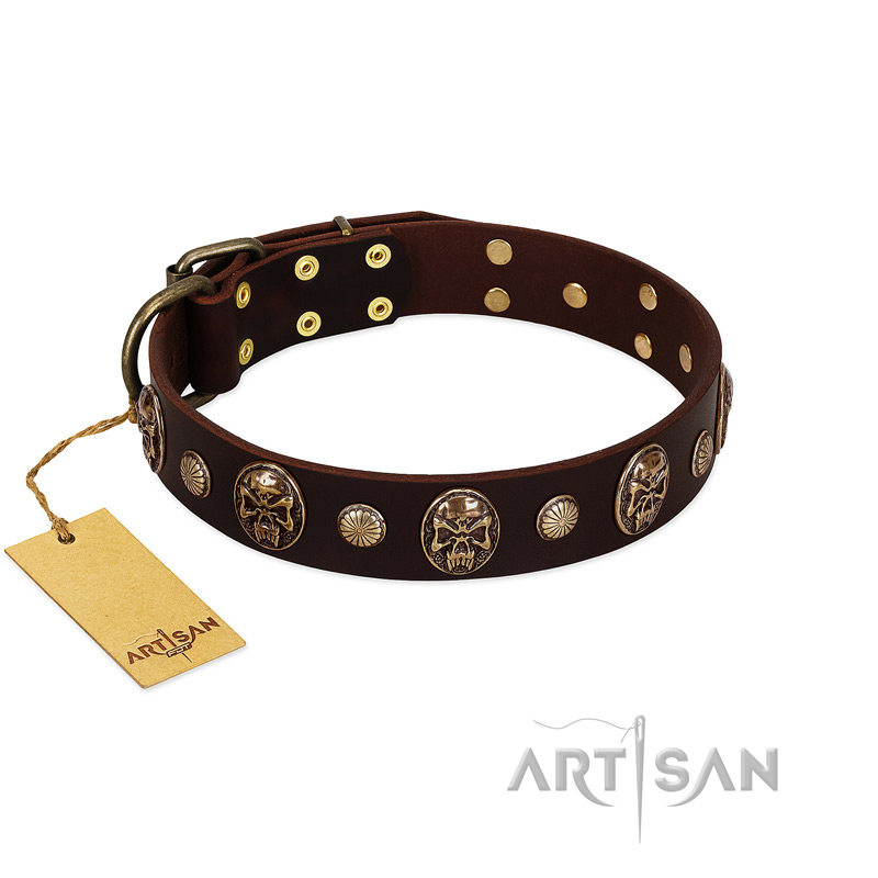 "Snazzy Paws" FDT Artisan Brown Leather Boxer Collar Adorned with Conchos and Medallions