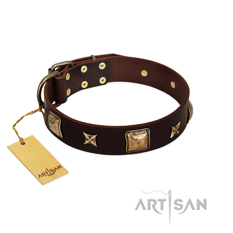 "Choco Dreams" FDT Artisan Brown Leather Boxer Collar with Squares and Stars