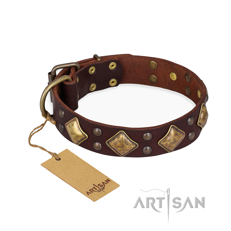 "Golden Square" FDT Artisan Brown Leather Boxer Collar with Large Squares