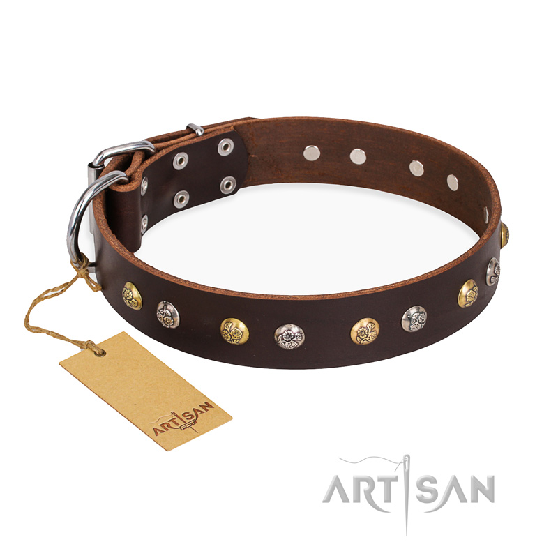 "Golden"n"Silver Luxury" FDT Artisan Leather Boxer Collar with Engraved Studs