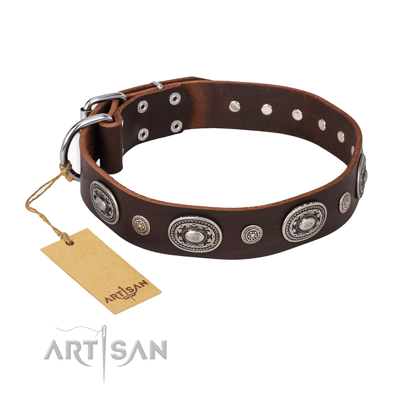 "Extra Pizzazz" FDT Artisan Adorned Brown Leather Boxer Collar