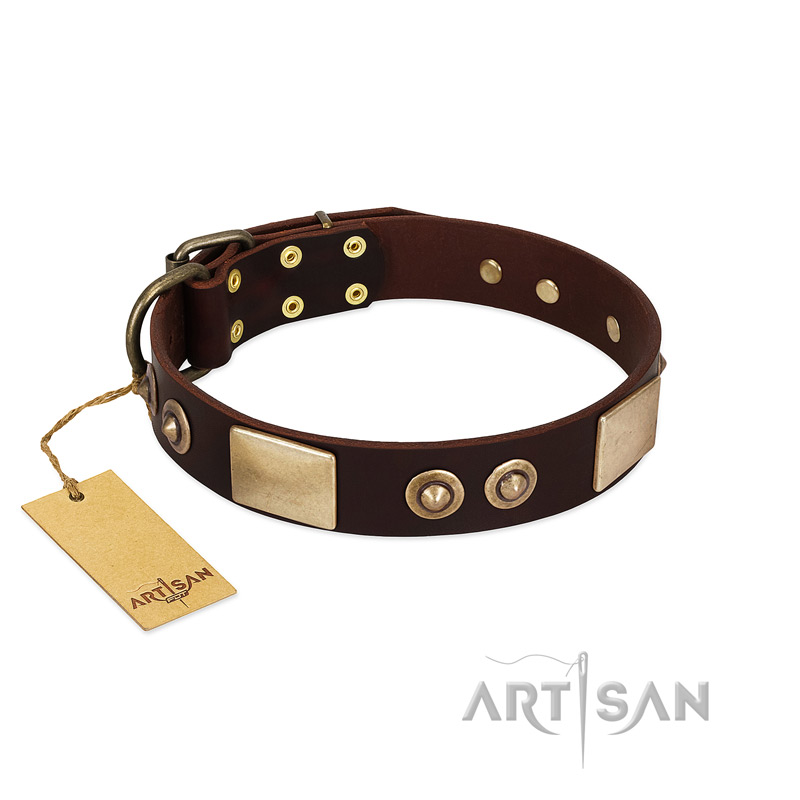 "Sense of Freedom" FDT Artisan Brown Leather Boxer Collar with Old Bronze-Plated Studs and Plates