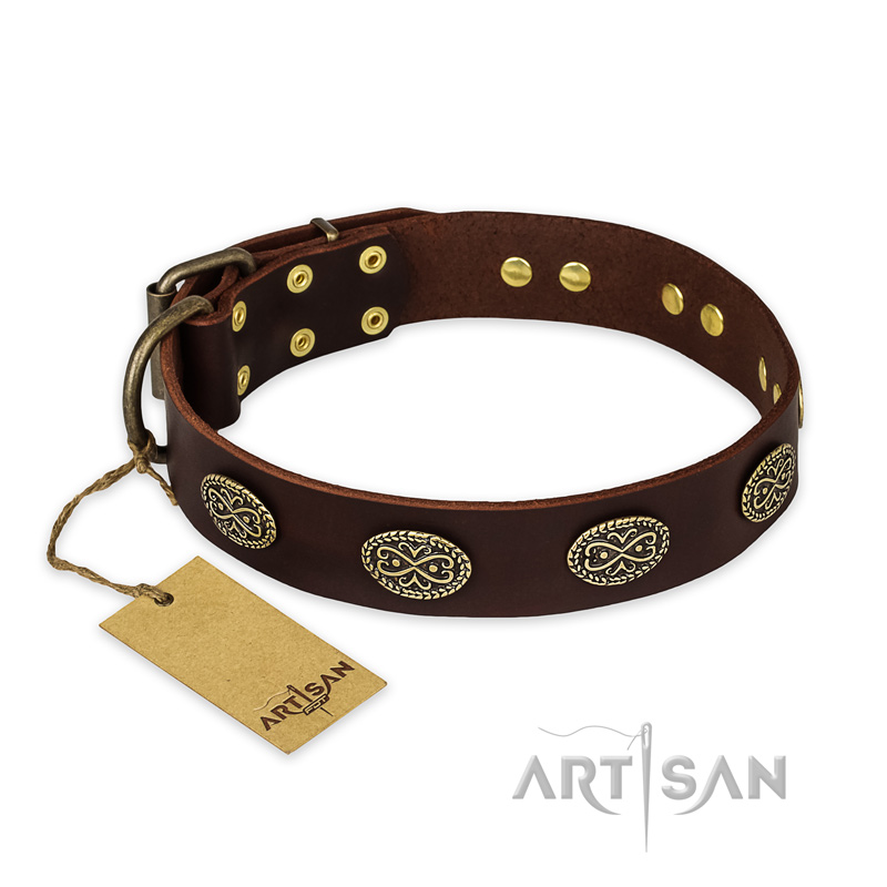 "Chocolate kiss" FDT Artisan Leather Boxer Collar with Old Bronze Look Oval Plates