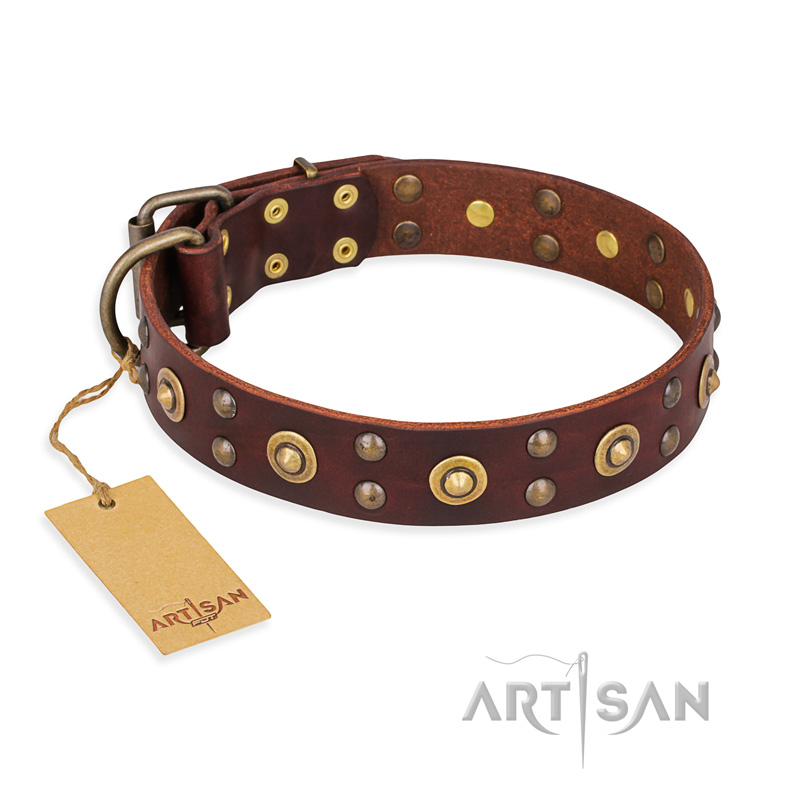 "Caprice of Fashion" FDT Artisan Brown Leather Boxer Collar with Round Decorations