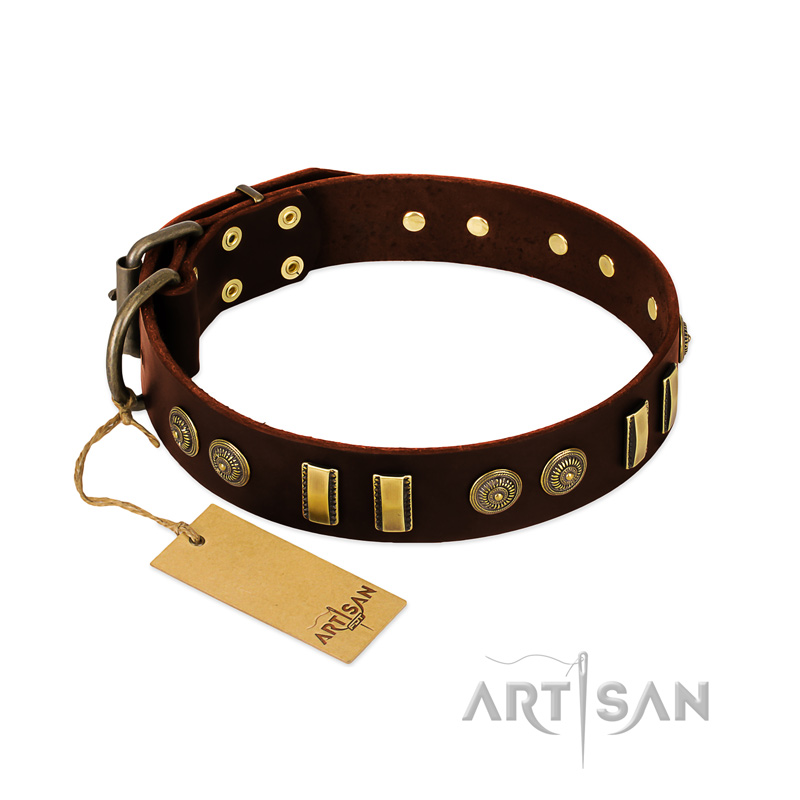 "Golden Elegance" FDT Artisan Brown Leather Boxer Collar with Old Bronze-like Decorations