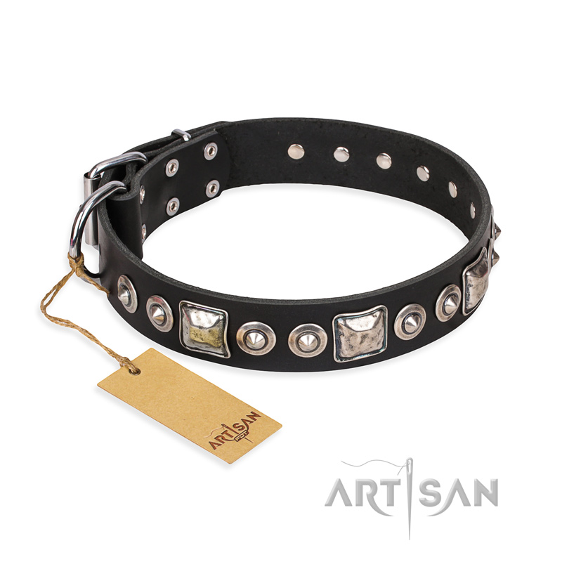 "Eternal Beauty and Style" FDT Artisan Adorned Black Leather Boxer Collar
