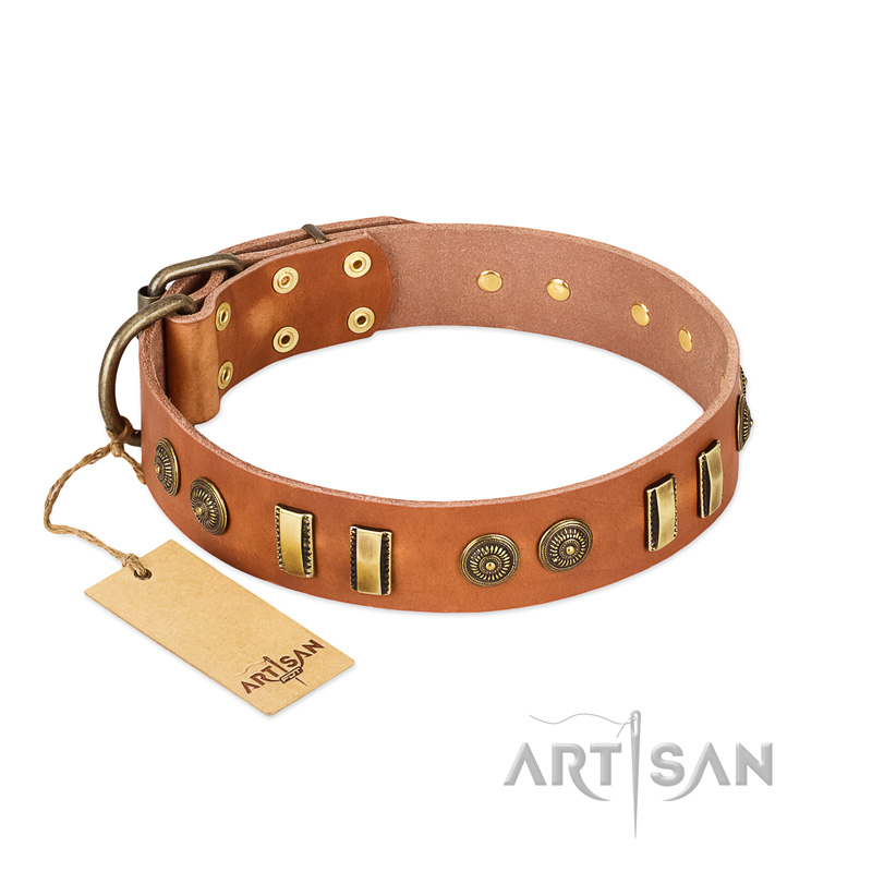 "Natural Beauty" FDT Artisan Tan Leather Boxer Collar with Old Bronze-like Circles and Plates