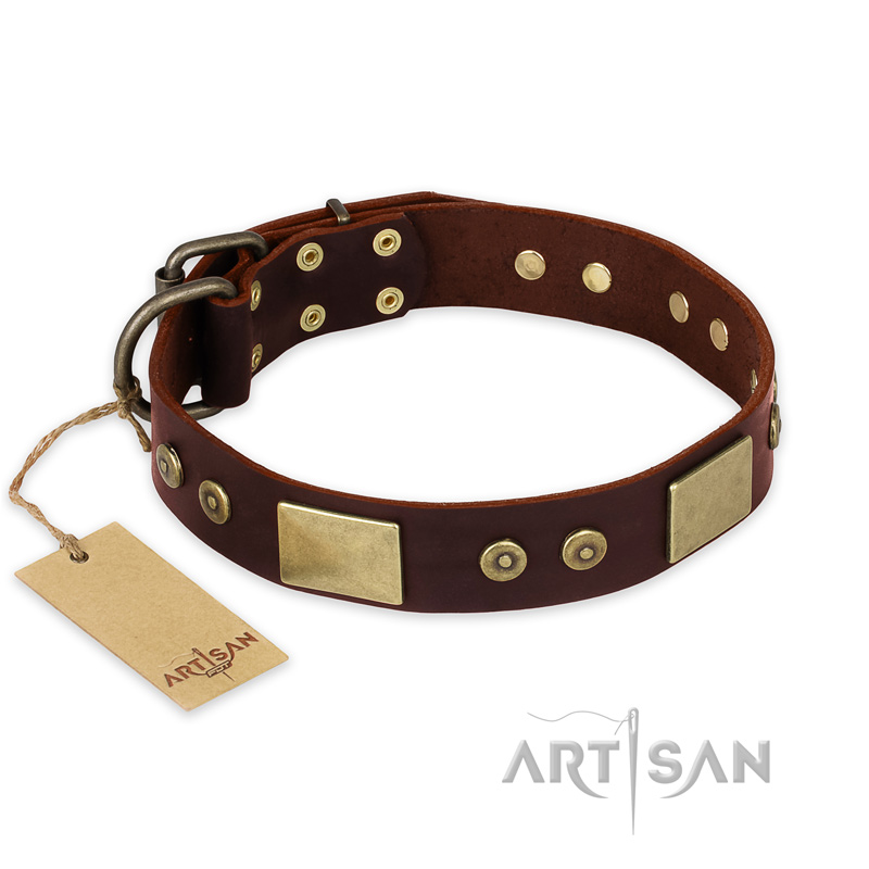 "Shining Armour" FDT Artisan Brown Leather Boxer Collar with Decorations