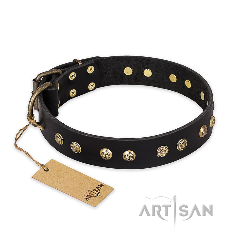 "Black Elegance" FDT Artisan Leather Boxer Collar with Round Studs