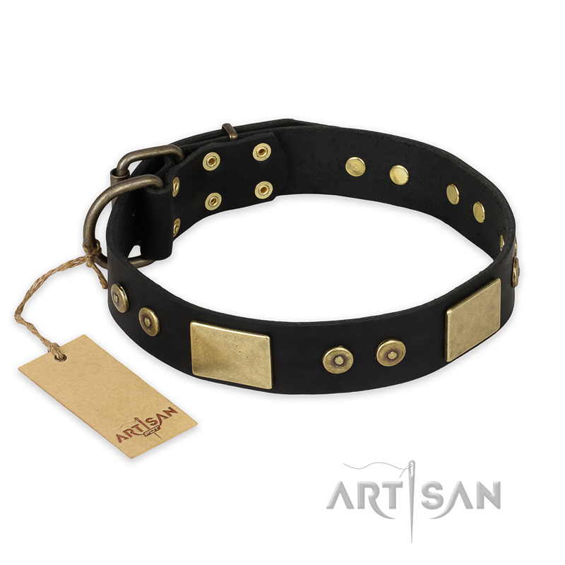 "Spanish night" FDT Artisan Fashionable Leather Walking Boxer Collar