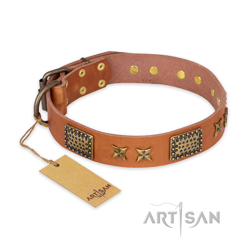 "Cosmic Traveller" FDT Artisan Adorned Leather Boxer Collar with Old Bronze-Plated Stars and Plates