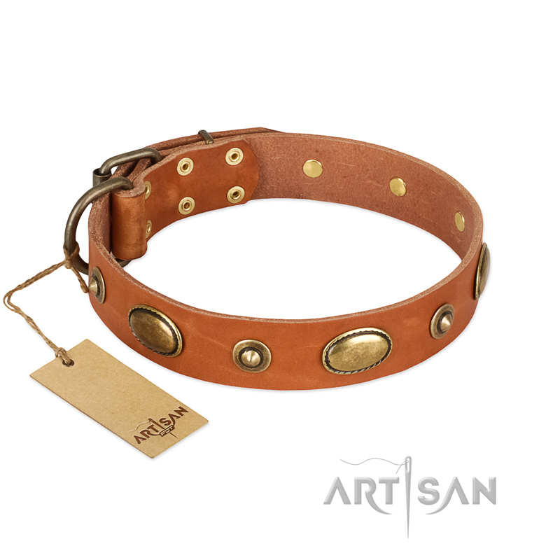"Visual Magic" FDT Artisan Tan Leather Boxer Collar for Daily Activities