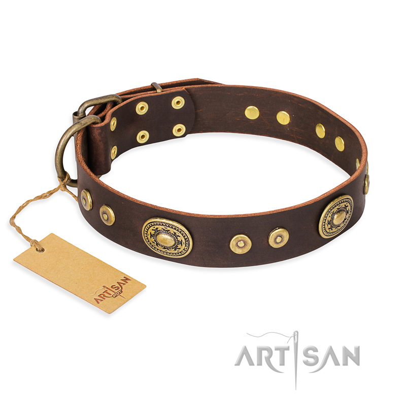 "One-of-a-Kind" FDT Artisan Handmade Decorated Brown Leather Boxer Collar