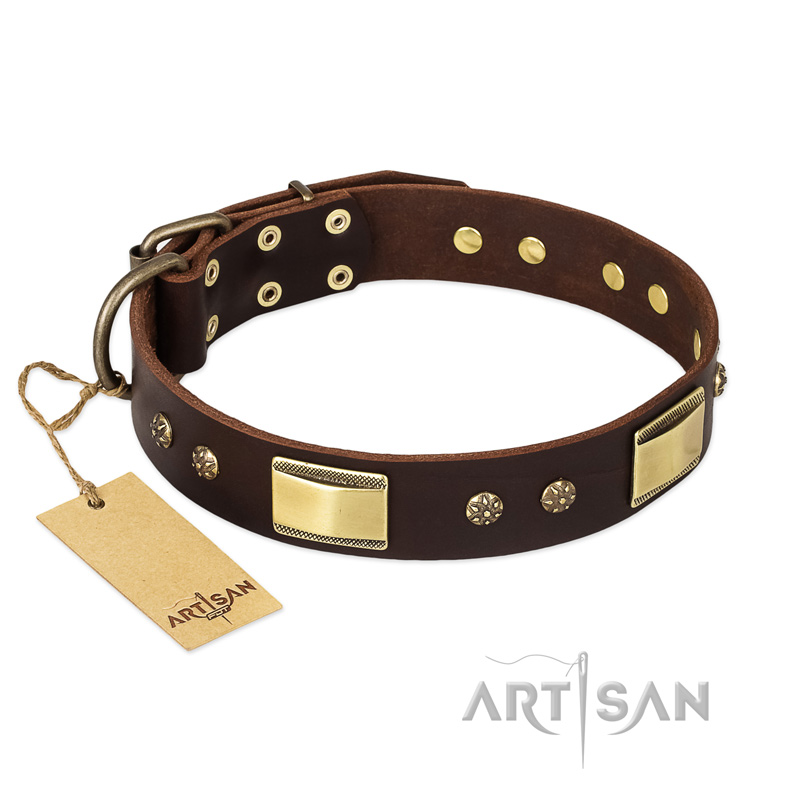 "Rich Fashion" FDT Artisan Decorated Leather Boxer Collar with Plates and Studs